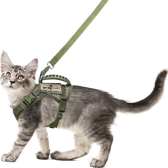 Cat Harness and Leash Set - Picture 1 of 5